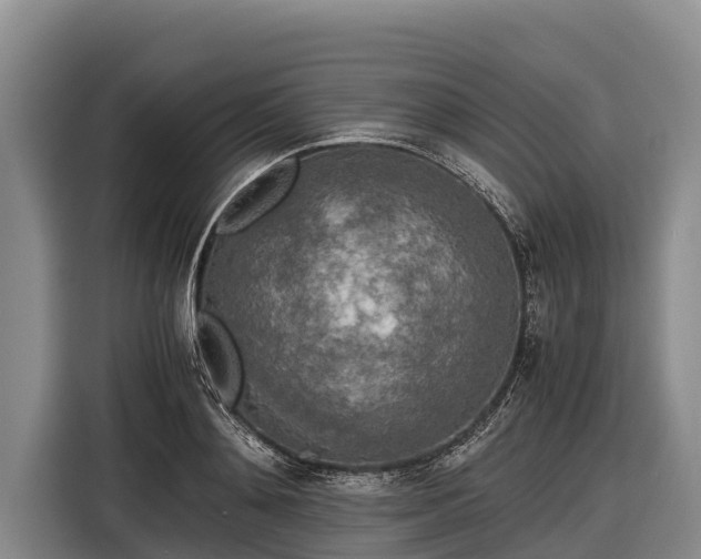 X0000116860892200912291257