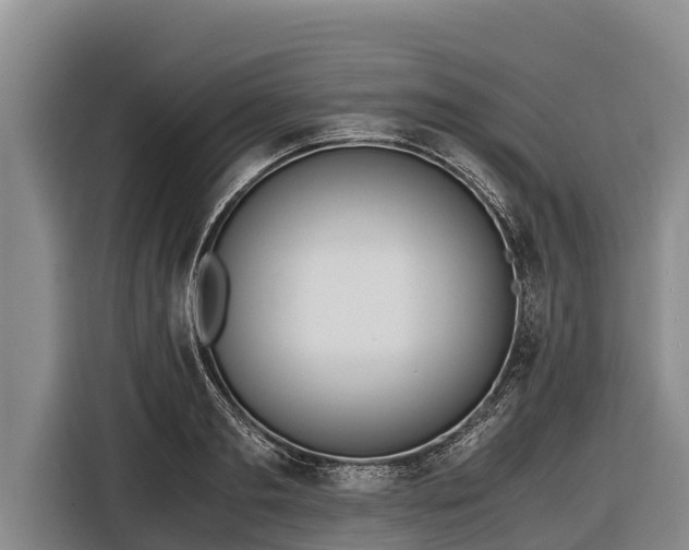 X0000116860893200912291257