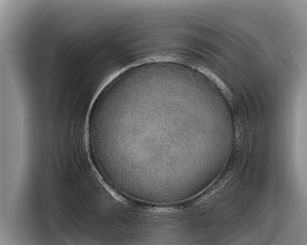 X0000116860894200912291257