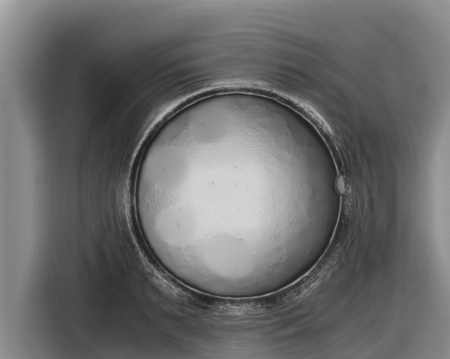 X0000116860895200912291257