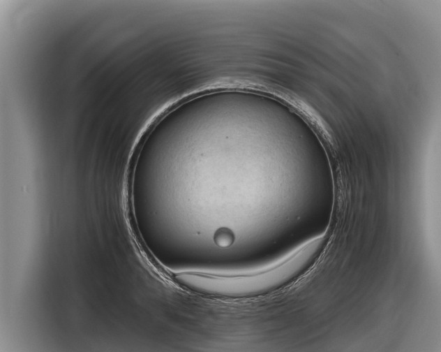 X0000116860896200912291257