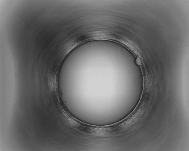 X0000116860897200912291257