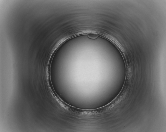 X0000116860898200912291257