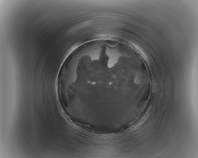 X0000116860899200912291257