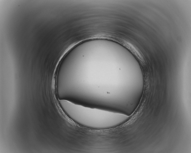 X0000116860900200912291257