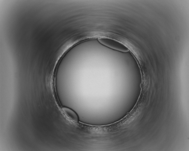 X0000116860901200912291257