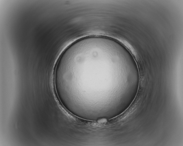 X0000116860903200912291257