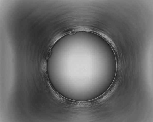 X0000116860905200912291257