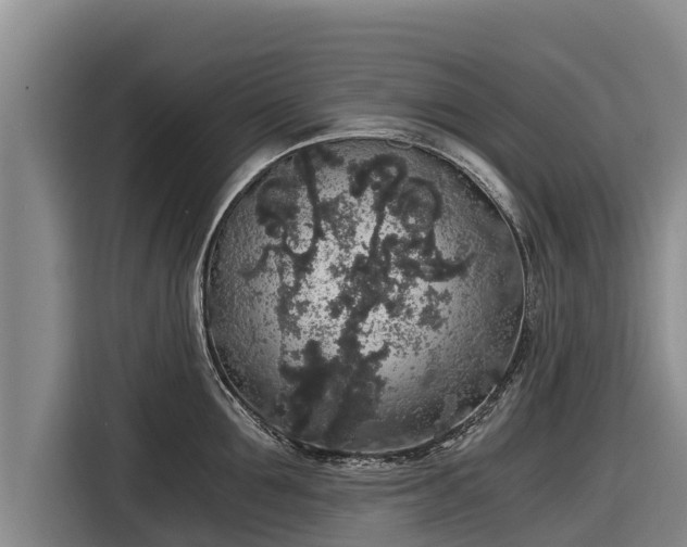 X0000116860907200912291257