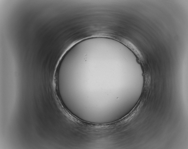 X0000116860908200912291257