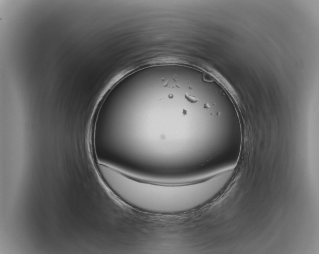 X0000116860909200912291257