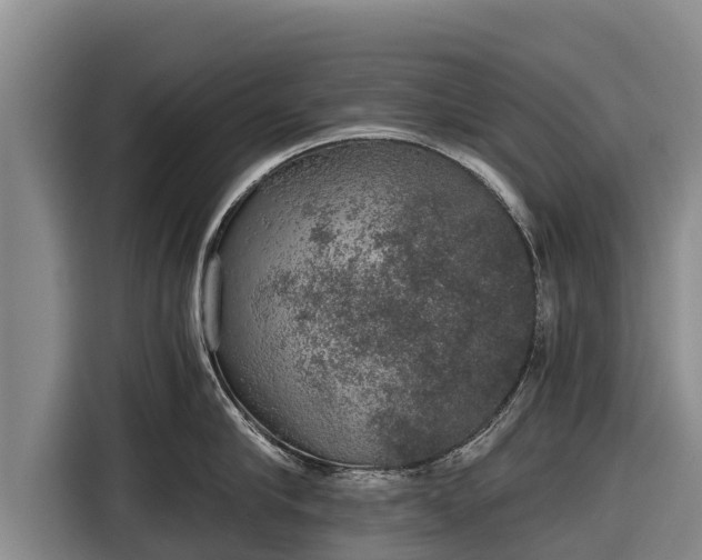 X0000116860910200912291257