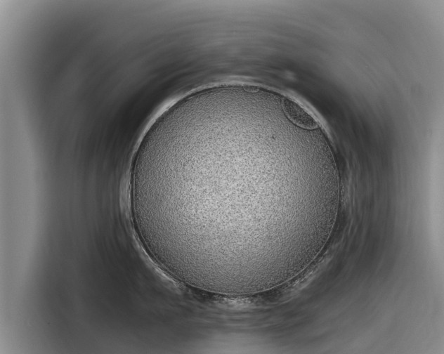 X0000116860911200912291257