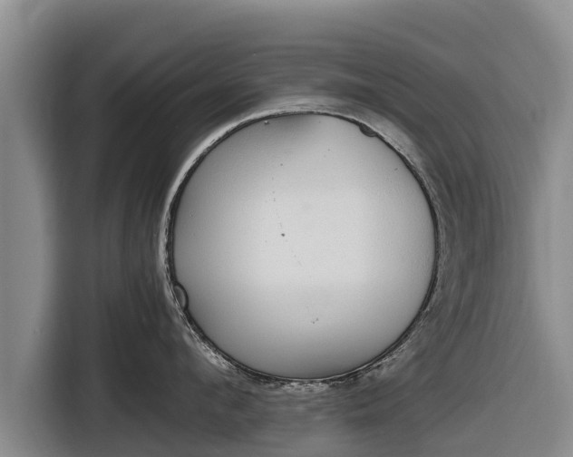 X0000116860912200912291257