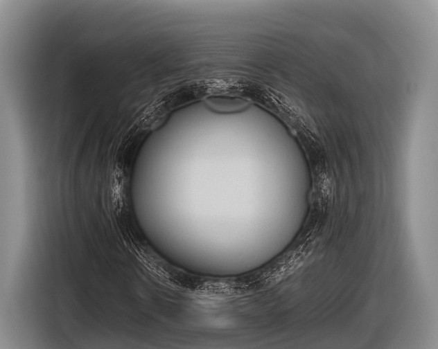 X0000116860914200912291257