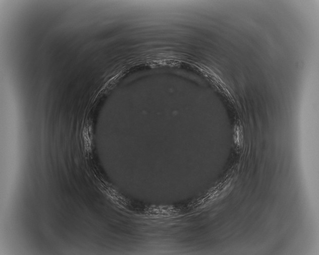 X0000116860915200912291257