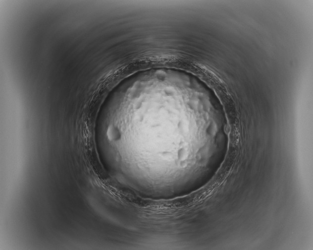 X0000116860917200912291257