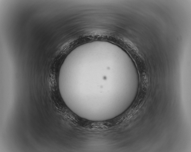 X0000116860918200912291257