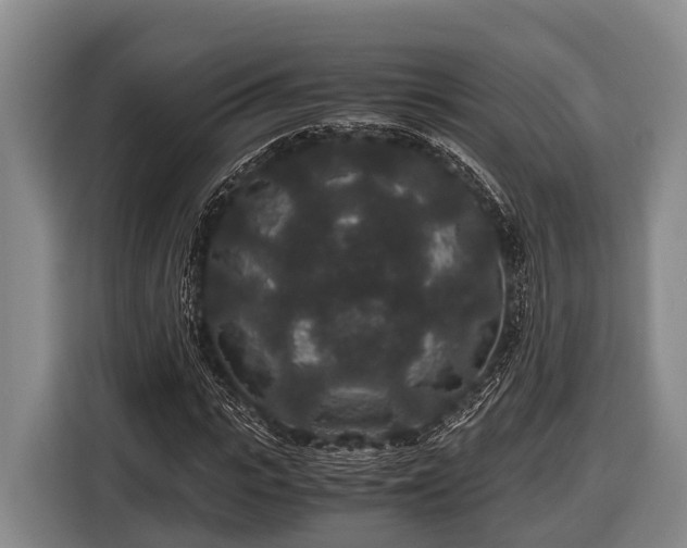 X0000116860919200912291257