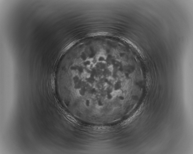 X0000116860921200912291257