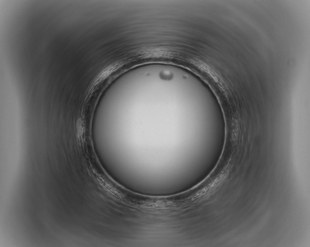 X0000116860922200912291257