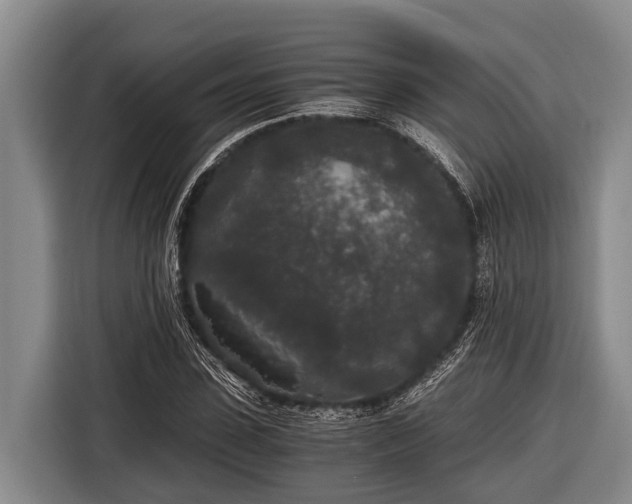 X0000116860923200912291257