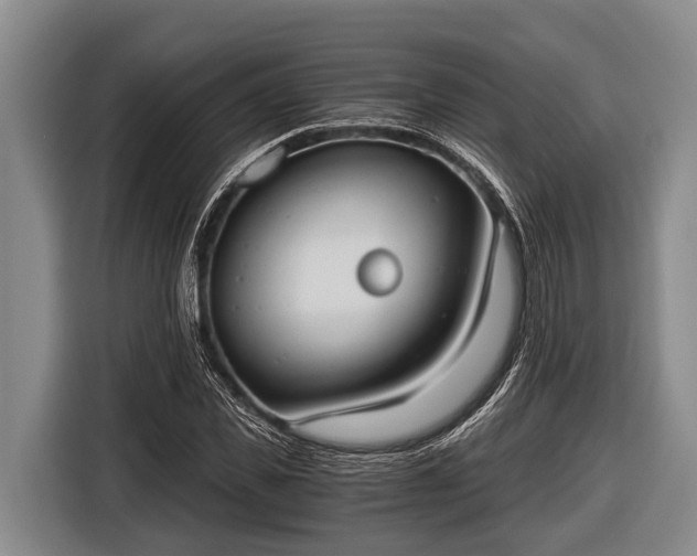 X0000116860925200912291257