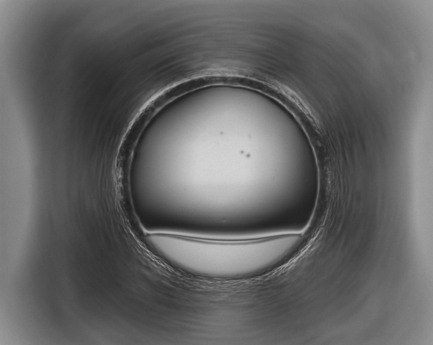 X0000116860926200912291257