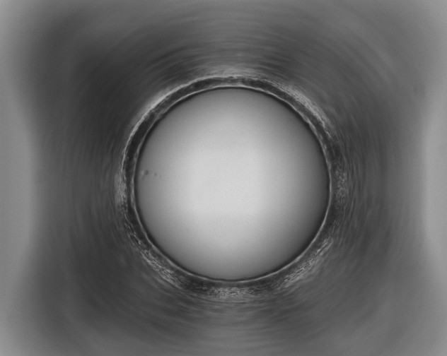 X0000116860927200912291257