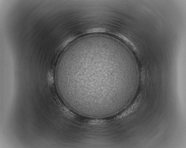 X0000116860929200912291257