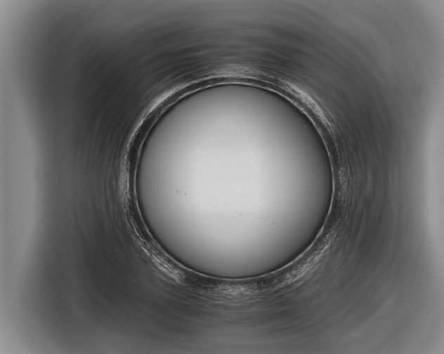 X0000116860931200912291257