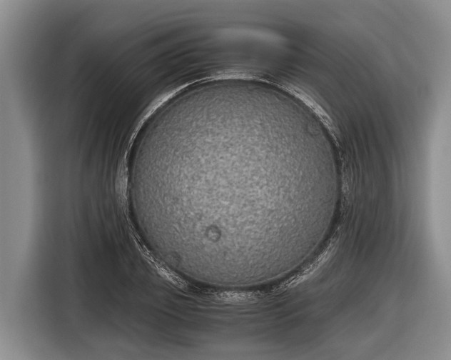 X0000116860933200912291257