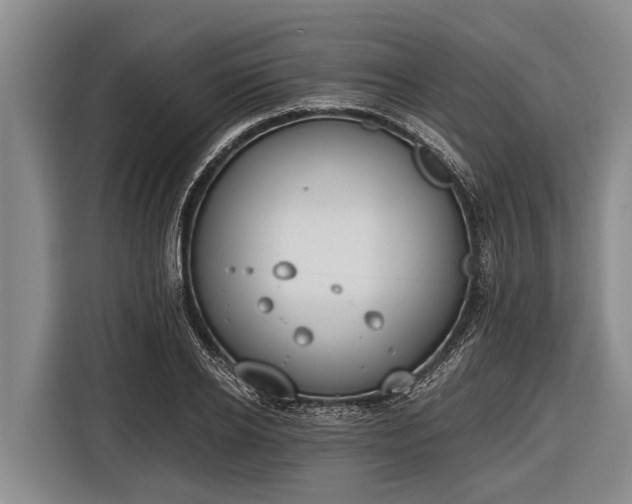 X0000116860934200912291257