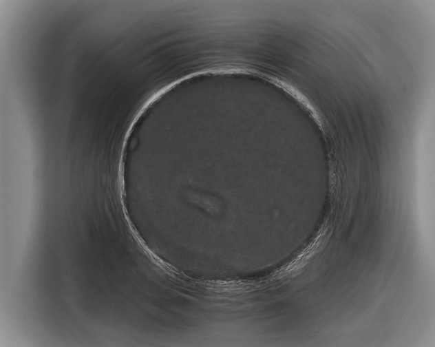 X0000116860935200912291257