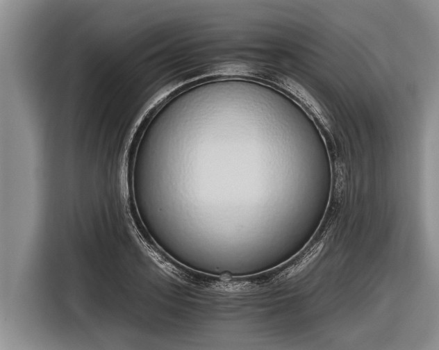 X0000116860939200912291257