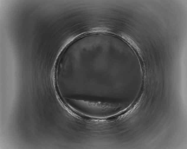 X0000116860941200912291257