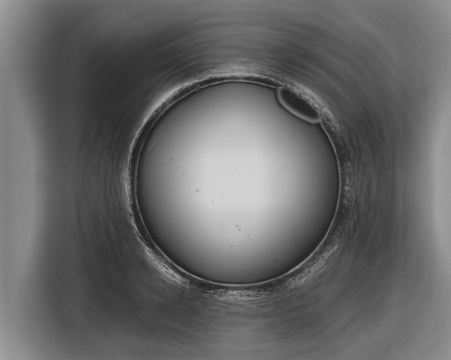 X0000116860942200912291257