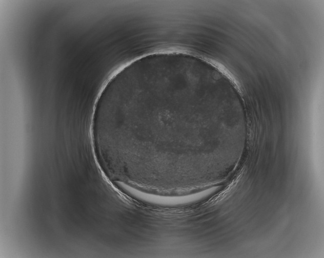 X0000116860943200912291257