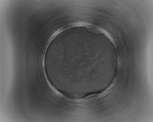 X0000116860946200912291257