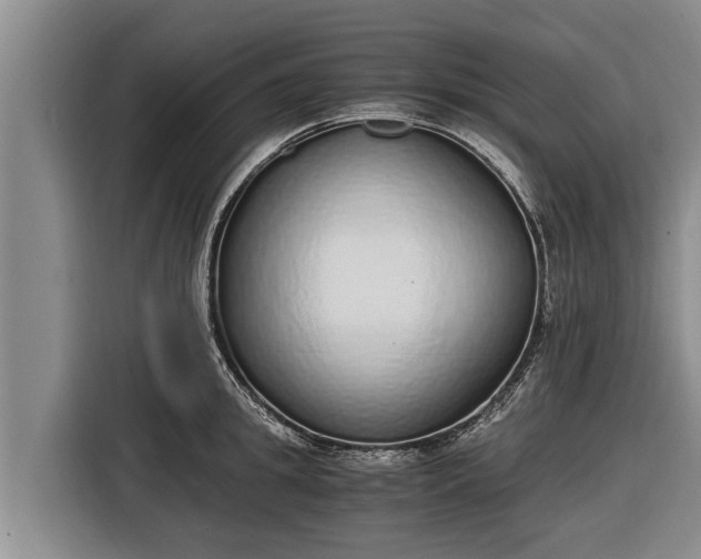 X0000116860949200912291257