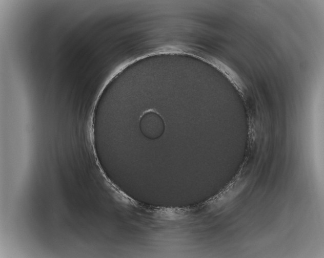 X0000116860950200912291257