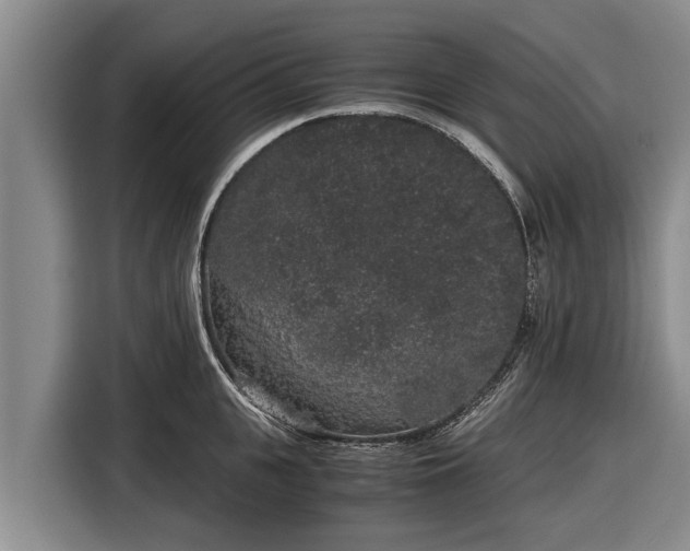 X0000116860951200912291257