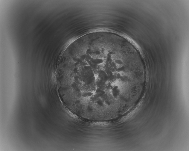 X0000116860953200912291257