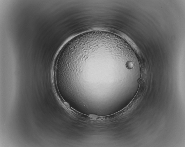 X0000116860955200912291257