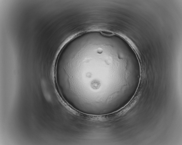 X0000116860957200912291257