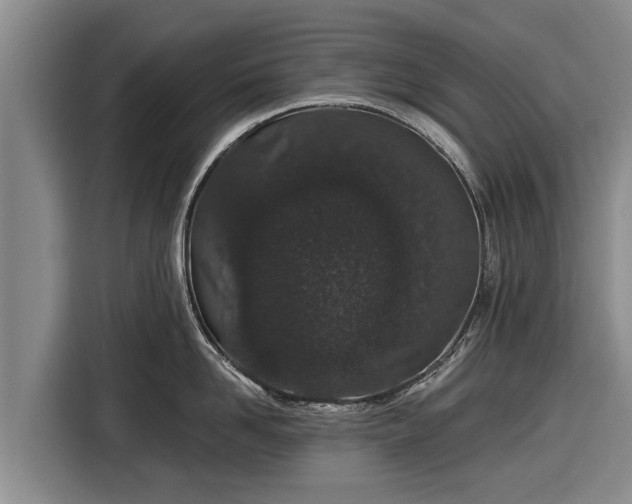 X0000116860958200912291257