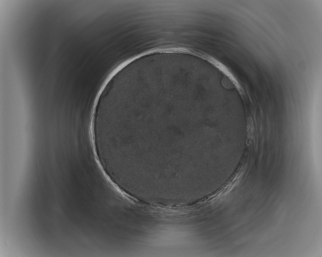 X0000116860959200912291257