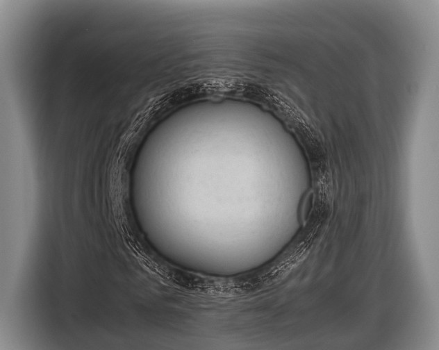 X0000116860961200912291257