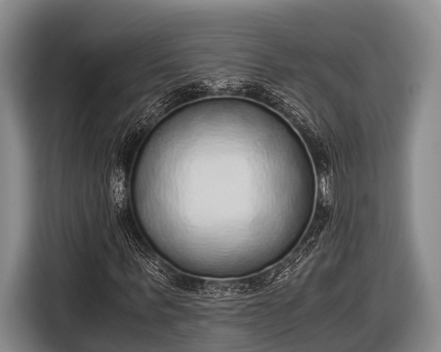 X0000116860963200912291256