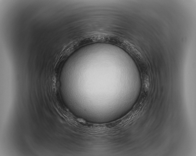 X0000116860964200912291256